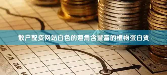 散户配资网站白色的蓮角含豐富的植物蛋白質
