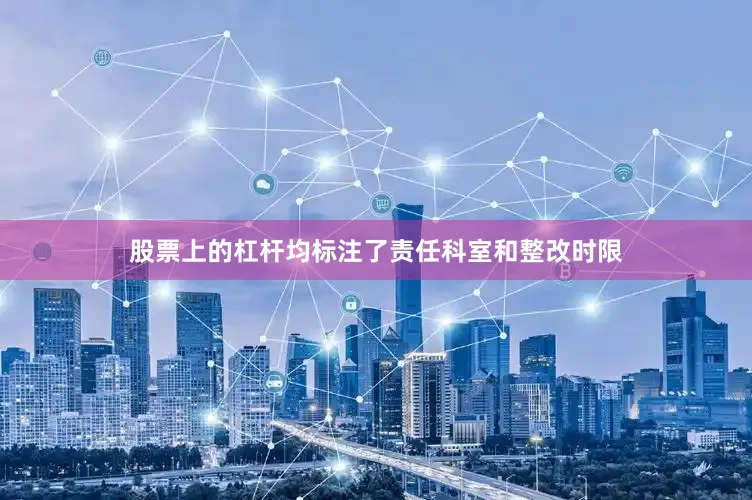 股票上的杠杆均标注了责任科室和整改时限
