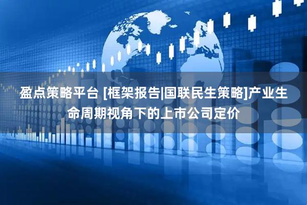 盈点策略平台 [框架报告|国联民生策略]产业生命周期视角下的上市公司定价