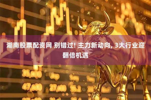 湖南股票配资网 别错过! 主力新动向, 3大行业迎翻倍机遇
