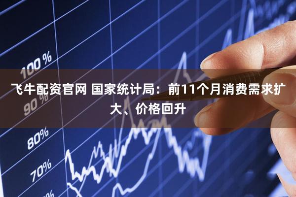 飞牛配资官网 国家统计局：前11个月消费需求扩大、价格回升